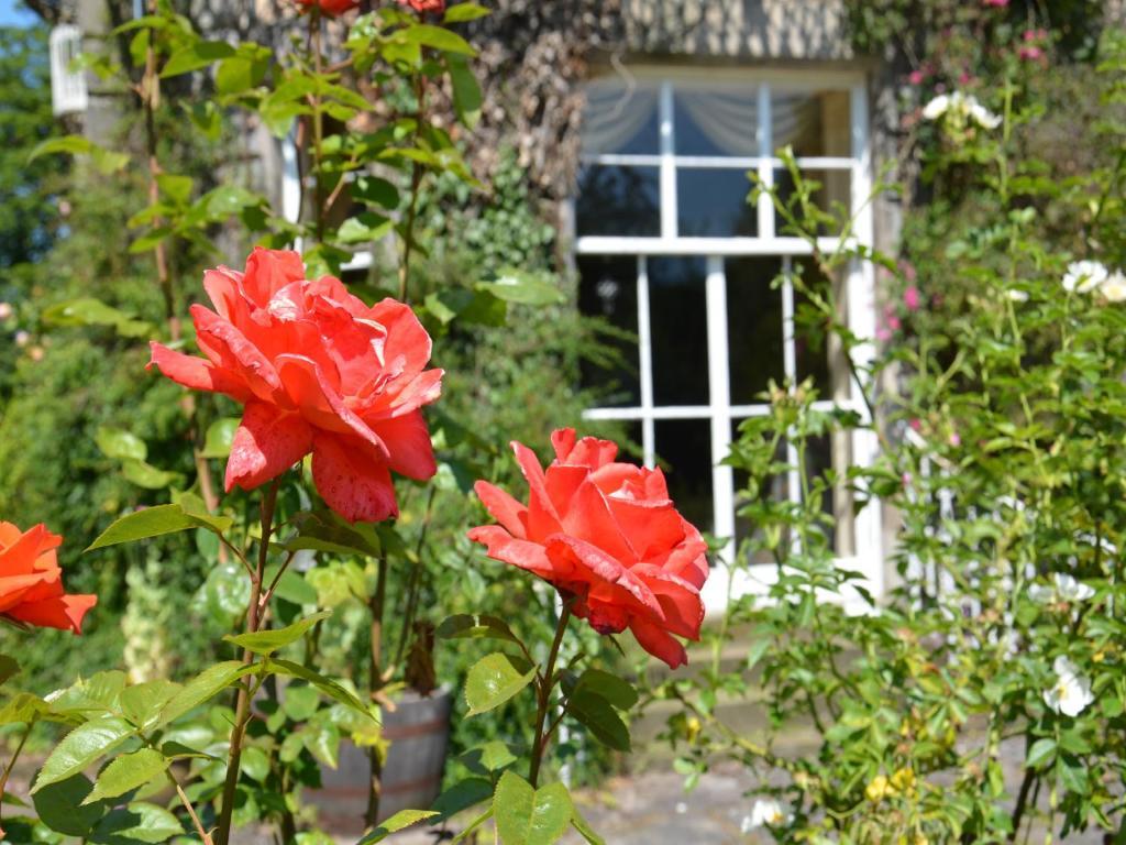Powis House B&B Stirling Eksteriør bilde
